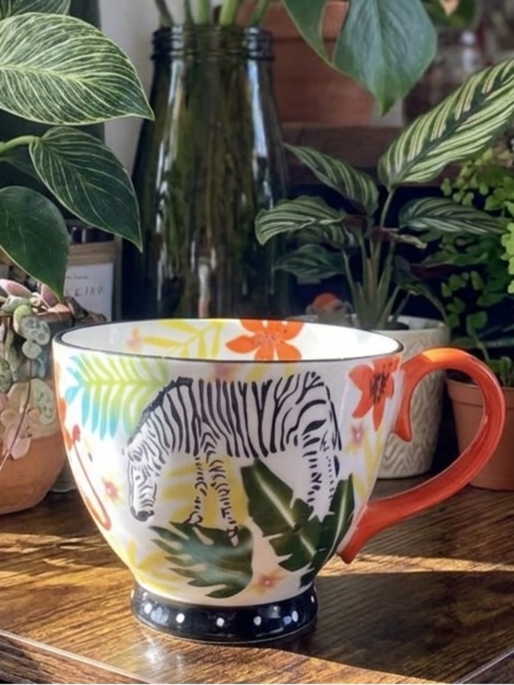 Cost Plus World Market Zebra Print Mug with Red Handle
